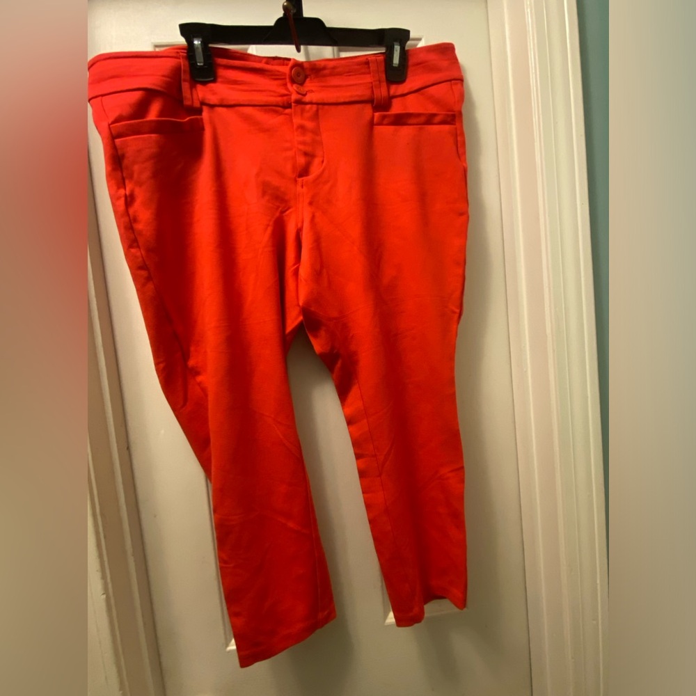 NWOT Torrid Vibrant Capri Pants